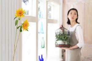 和泉市のリフォーム会社徹底比較2025年版｜信頼と実績で選ぶ最適プラン